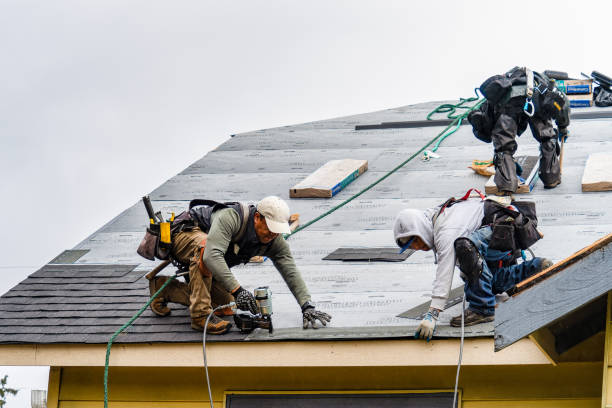Professional Gutter Installation technician working in Mount Solon, VA